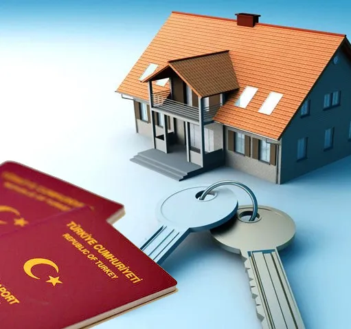 1733403229593805.png 1.png