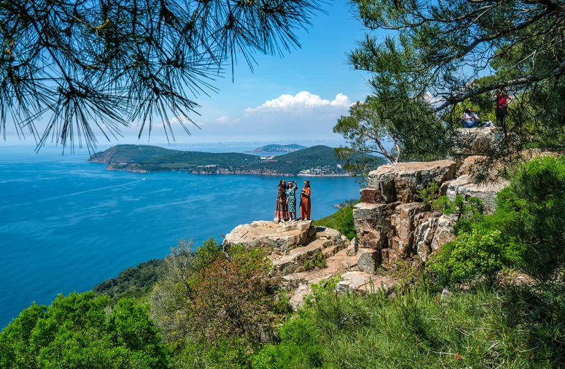 1737462858141578.png image.png