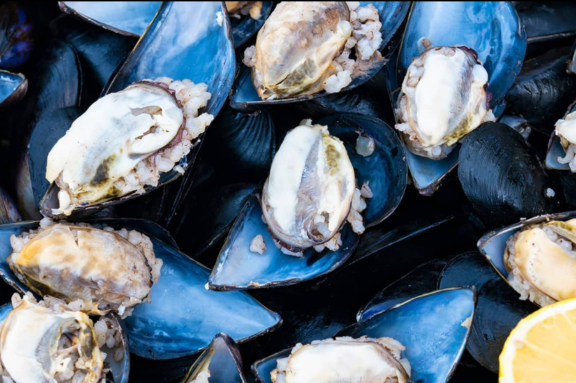 1737462932522253.png image.png