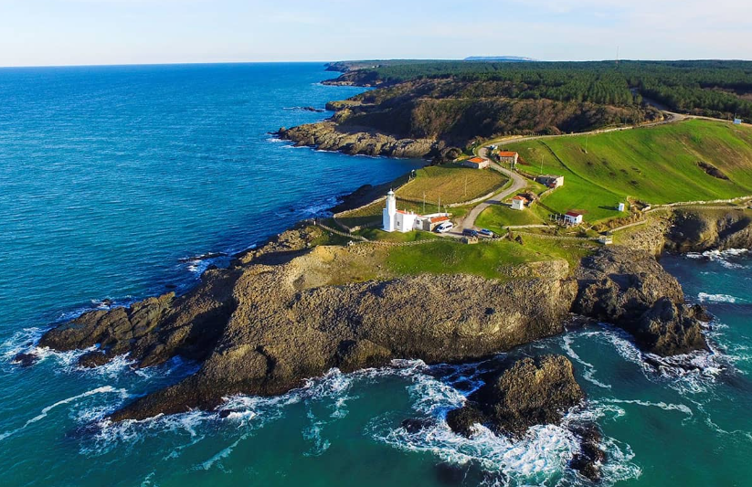 1737723590703181.png image.png