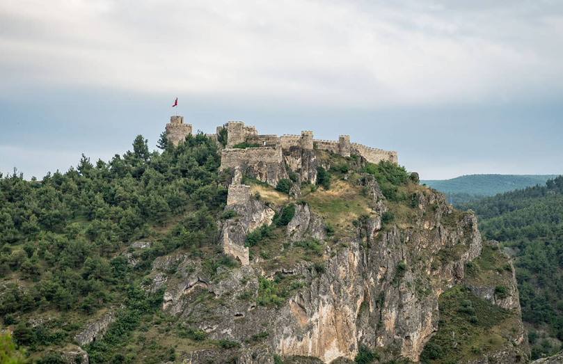 1737723646232735.png image.png