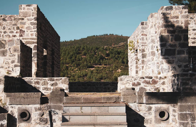 1737723772352157.png image.png