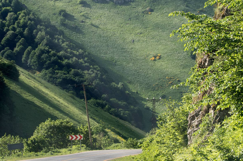 1737723801338454.png image.png