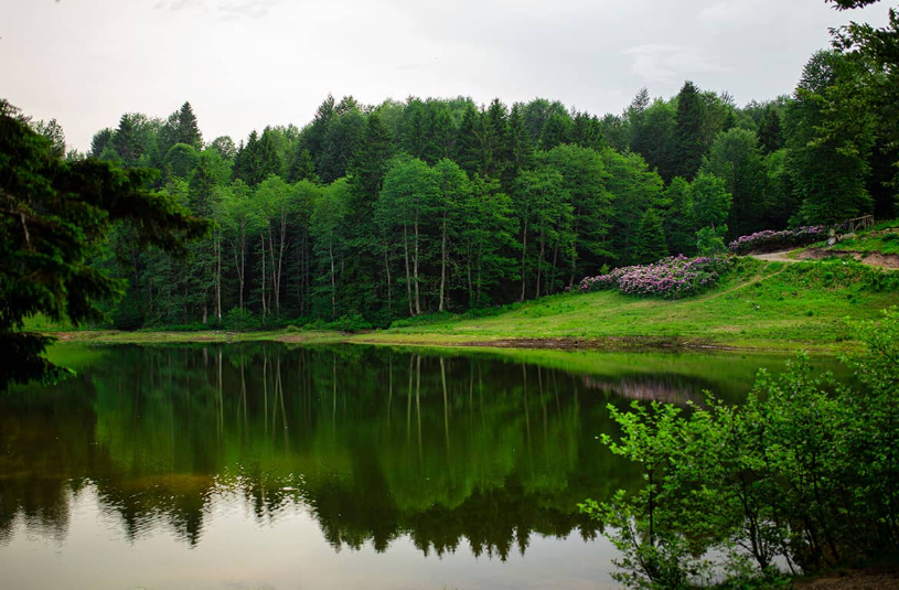 1737723902914951.png image.png