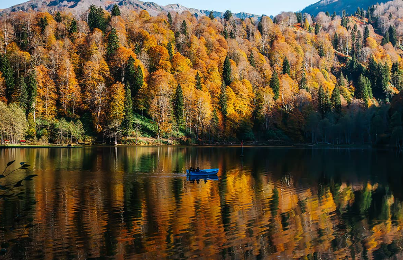 1737723958260340.png image.png