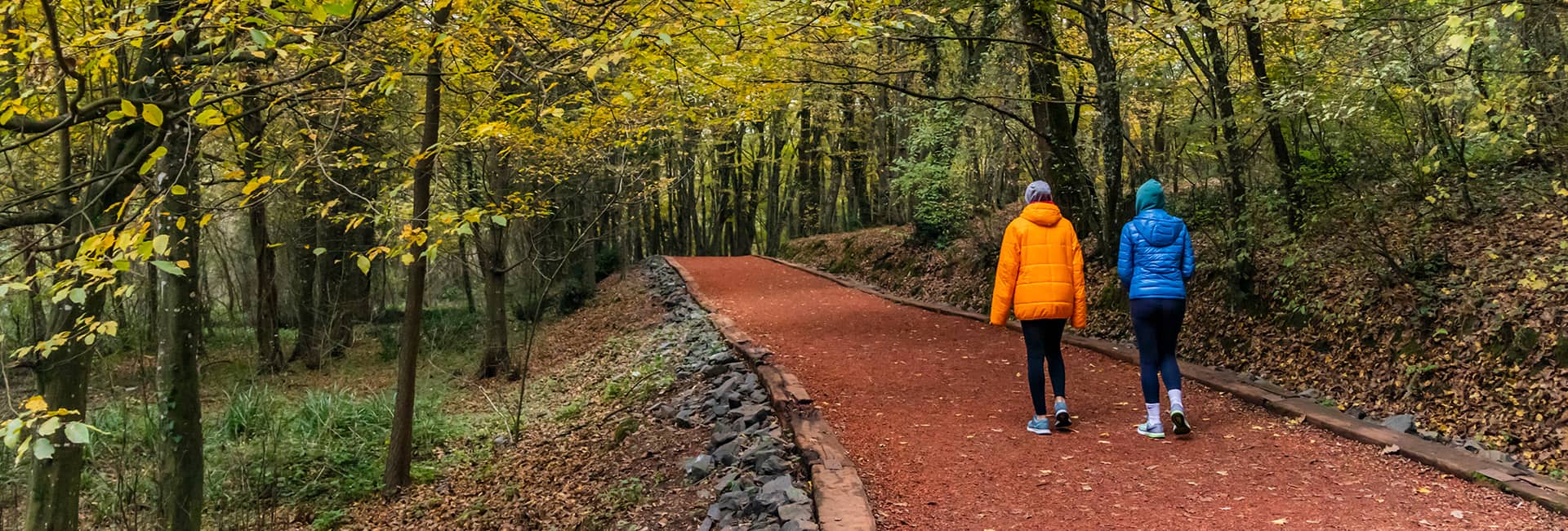 5 个在伊斯坦布尔享受新鲜空气的徒步旅行地点