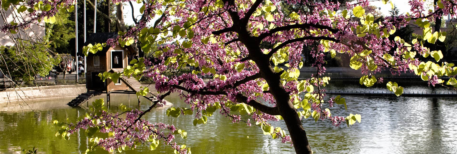 伊斯坦布尔最美的公园与花园推荐